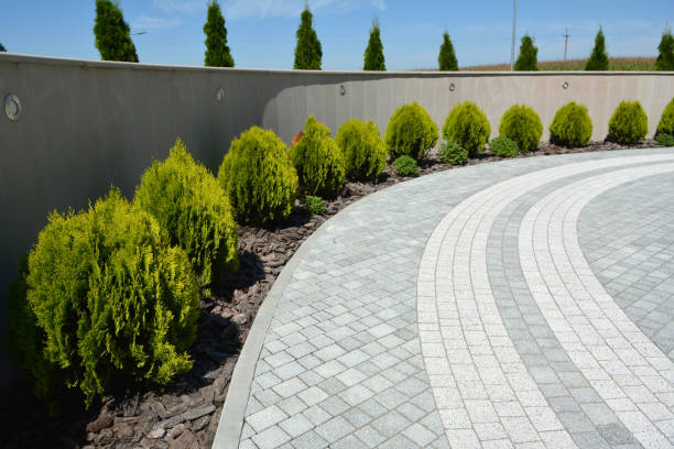 Best Affordable Driveway Paving  in Hortonville, WI